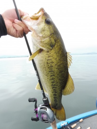 truth truth_news ブログ写真 2015/07/10