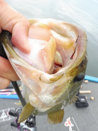 truth truth_news ブログ写真 2015/07/10