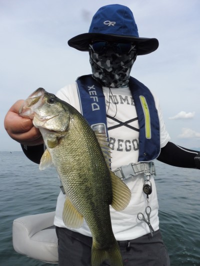 truth truth_news ブログ写真 2015/07/11