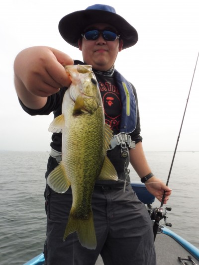 truth truth_news ブログ写真 2015/07/11