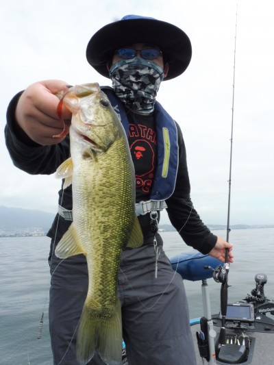 truth truth_news ブログ写真 2015/07/11