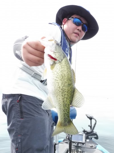 truth truth_news ブログ写真 2015/07/11