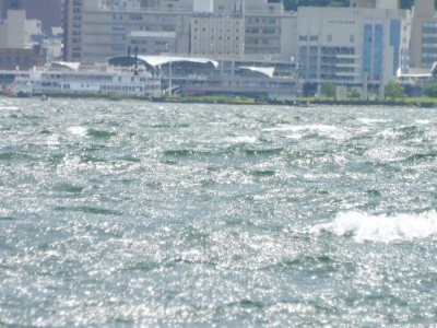 truth truth_news ブログ写真 2015/07/13