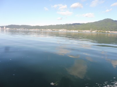 truth truth_news ブログ写真 2015/07/14