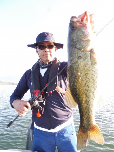 truth truth_news ブログ写真 2015/07/14