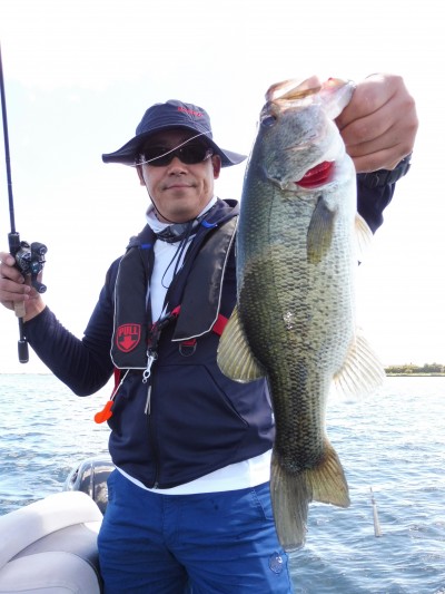 truth truth_news ブログ写真 2015/07/14