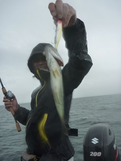 truth truth_news ブログ写真 2015/07/18