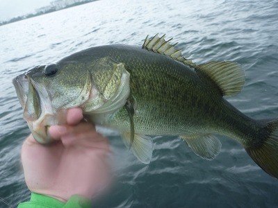 truth truth_news ブログ写真 2015/07/18