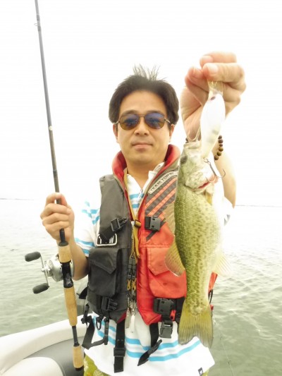 truth truth_news ブログ写真 2015/07/22