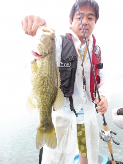 truth truth_news ブログ写真 2015/07/22