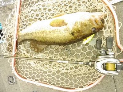 truth truth_news ブログ写真 2015/07/22