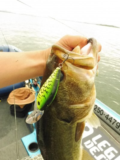 truth truth_news ブログ写真 2015/07/22