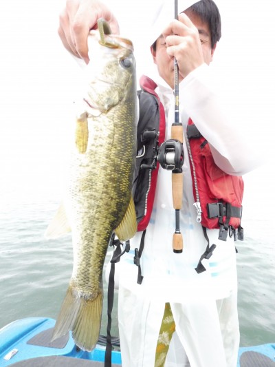 truth truth_news ブログ写真 2015/07/22