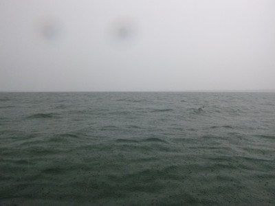 truth truth_news ブログ写真 2015/07/23