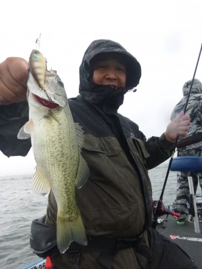 truth truth_news ブログ写真 2015/07/23