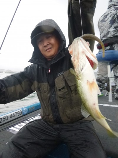 truth truth_news ブログ写真 2015/07/23