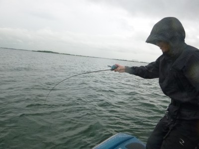 truth truth_news ブログ写真 2015/07/23