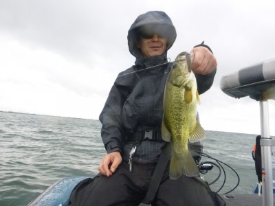 truth truth_news ブログ写真 2015/07/23