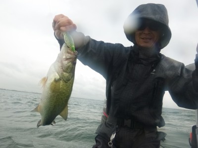 truth truth_news ブログ写真 2015/07/23