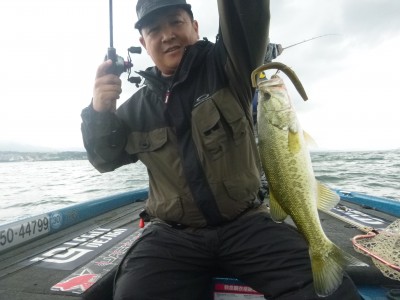 truth truth_news ブログ写真 2015/07/23