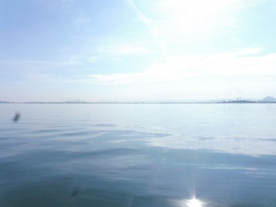 truth truth_news ブログ写真 2015/07/24