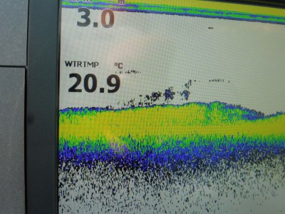 truth truth_news ブログ写真 2015/07/24