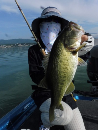 truth truth_news ブログ写真 2015/07/24