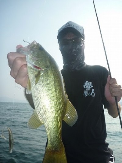 truth truth_news ブログ写真 2015/08/01