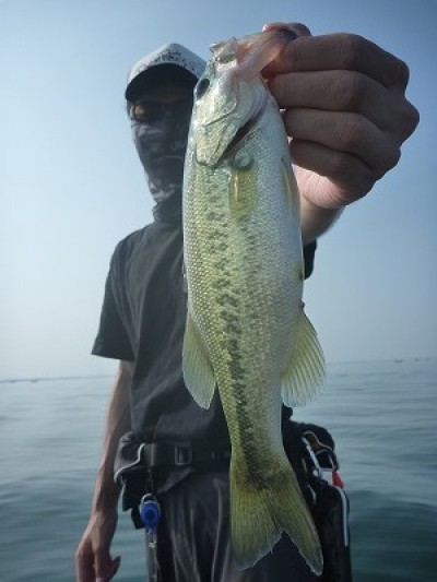 truth truth_news ブログ写真 2015/08/01