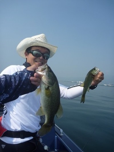 truth truth_news ブログ写真 2015/08/01