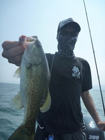 truth truth_news ブログ写真 2015/08/01