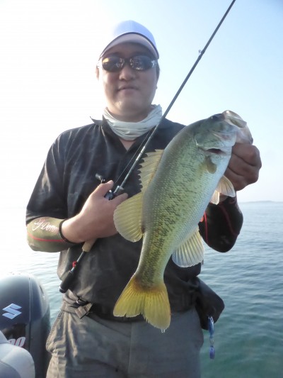 truth truth_news ブログ写真 2015/08/05