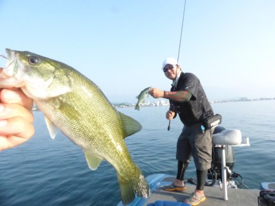 truth truth_news ブログ写真 2015/08/05