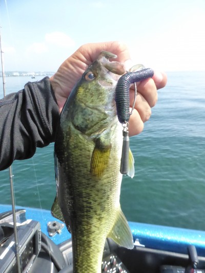 truth truth_news ブログ写真 2015/08/05