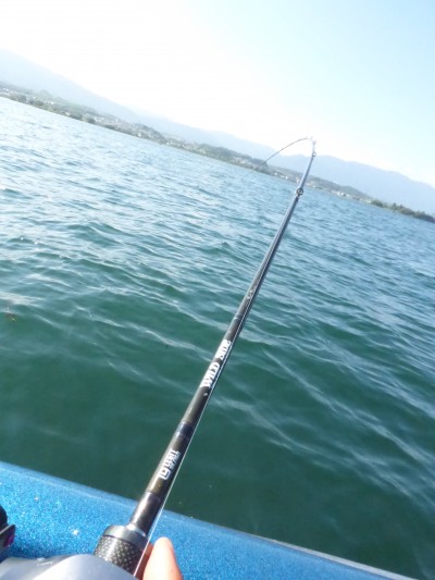 truth truth_news ブログ写真 2015/08/05