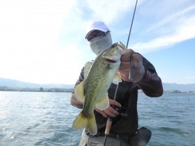 truth truth_news ブログ写真 2015/08/05