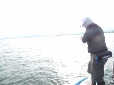 truth truth_news ブログ写真 2015/08/05