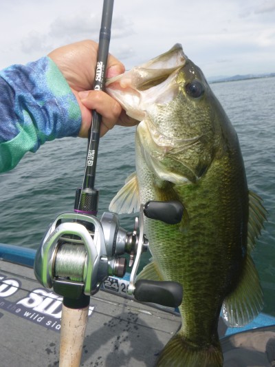 truth truth_news ブログ写真 2015/08/06