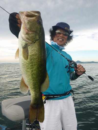 truth truth_news ブログ写真 2015/08/06