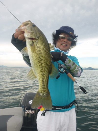 truth truth_news ブログ写真 2015/08/06