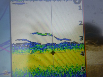 truth truth_news ブログ写真 2015/08/06