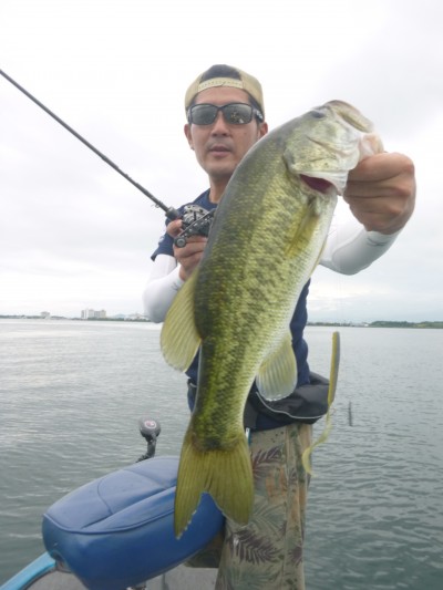 truth truth_news ブログ写真 2015/08/06