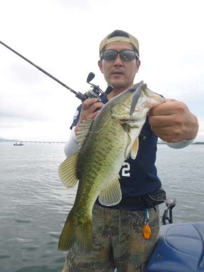 truth truth_news ブログ写真 2015/08/06