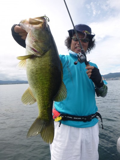 truth truth_news ブログ写真 2015/08/06