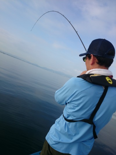 truth truth_news ブログ写真 2015/08/07