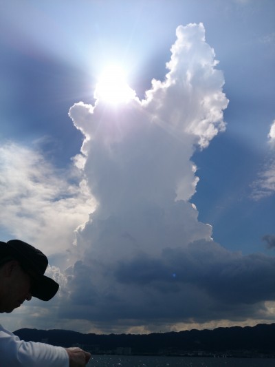 truth truth_news ブログ写真 2015/08/07