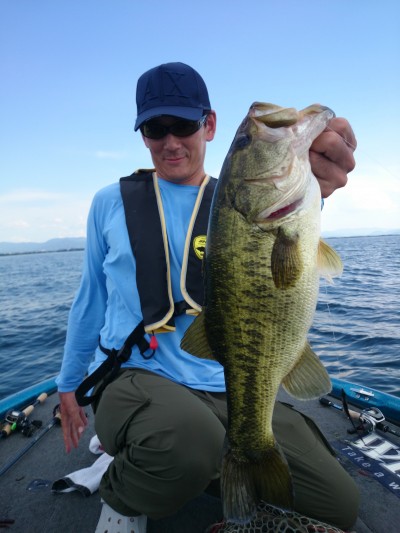 truth truth_news ブログ写真 2015/08/07