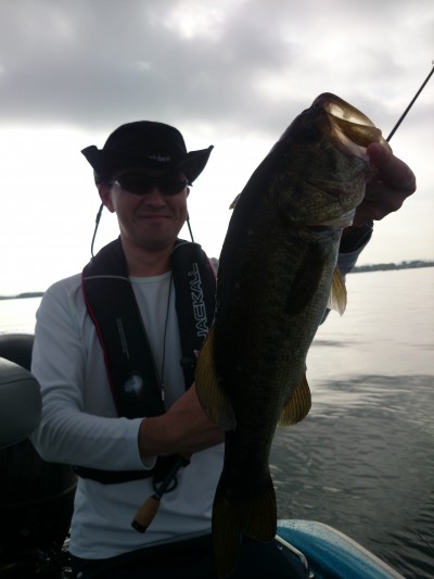 truth truth_news ブログ写真 2015/08/07