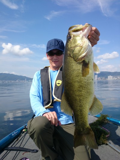 truth truth_news ブログ写真 2015/08/07