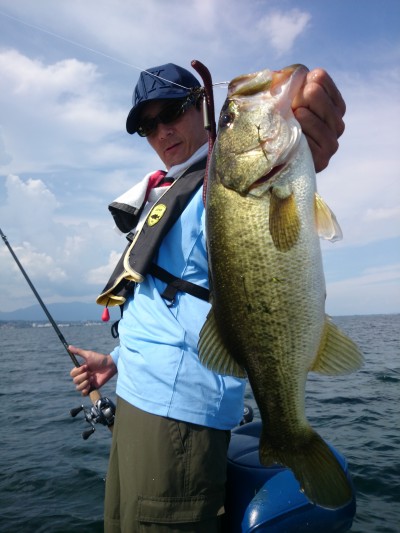 truth truth_news ブログ写真 2015/08/07